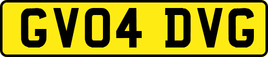 GV04DVG