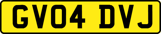 GV04DVJ