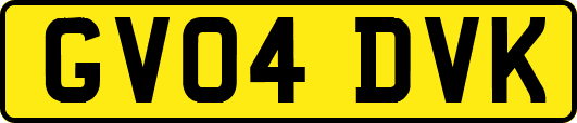GV04DVK