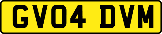 GV04DVM