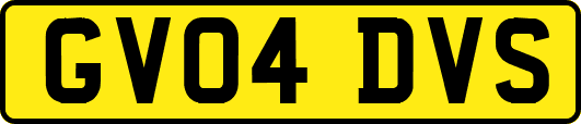 GV04DVS