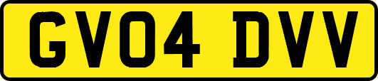 GV04DVV