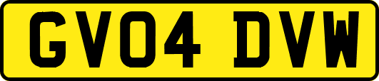 GV04DVW