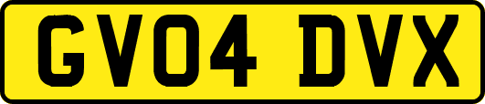 GV04DVX