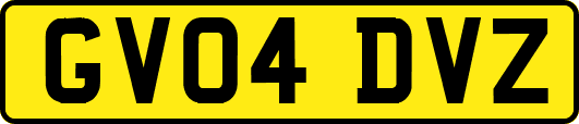 GV04DVZ