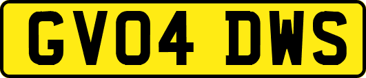 GV04DWS