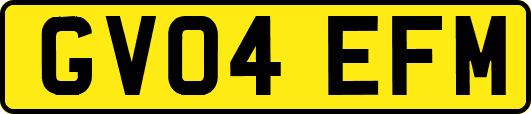GV04EFM