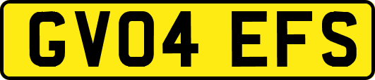 GV04EFS