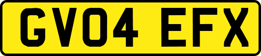GV04EFX