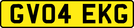 GV04EKG
