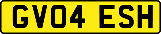 GV04ESH
