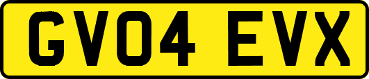GV04EVX
