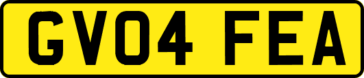 GV04FEA