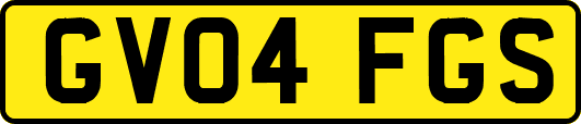 GV04FGS