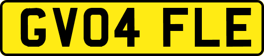 GV04FLE
