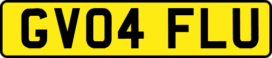 GV04FLU