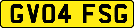 GV04FSG