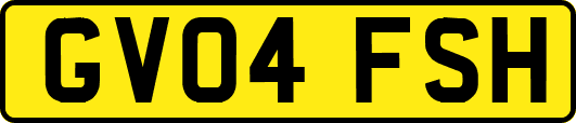GV04FSH