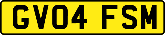 GV04FSM