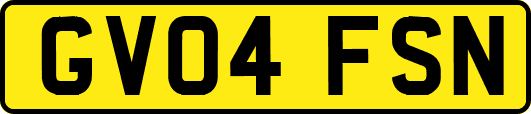 GV04FSN
