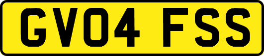 GV04FSS