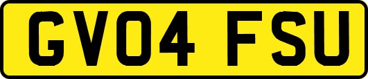 GV04FSU