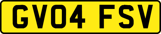 GV04FSV