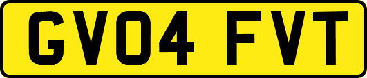 GV04FVT