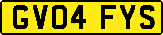 GV04FYS