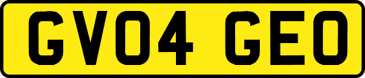 GV04GEO