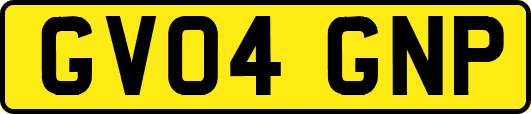 GV04GNP