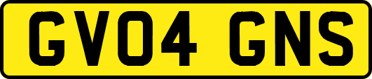 GV04GNS