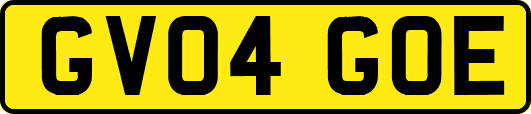 GV04GOE