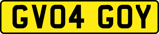 GV04GOY