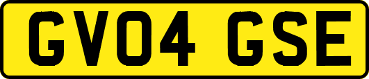 GV04GSE