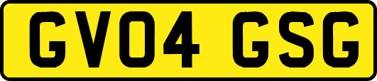 GV04GSG