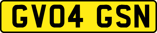 GV04GSN