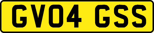 GV04GSS