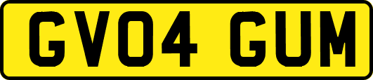 GV04GUM