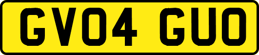 GV04GUO