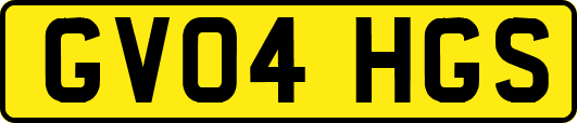 GV04HGS