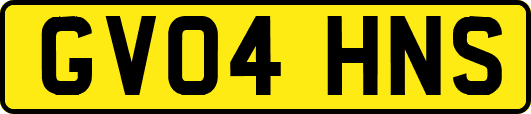 GV04HNS