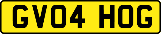 GV04HOG