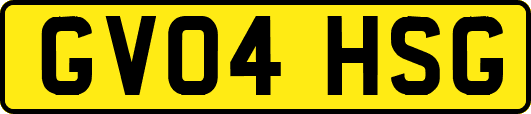 GV04HSG