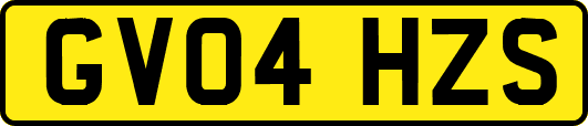 GV04HZS