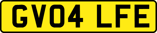 GV04LFE