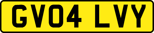 GV04LVY
