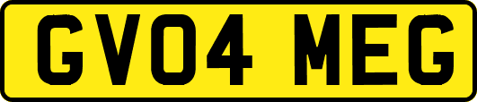 GV04MEG