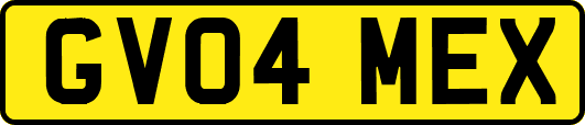 GV04MEX