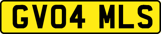 GV04MLS